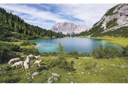 Fotobehang - Paradise Lake 400x250cm - Vliesbehang Multikleur