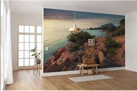 Fotobehang - Paradiso II 450x280cm - Vliesbehang Multikleur