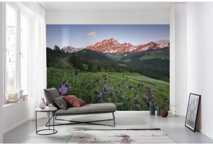 Fotobehang - Picturesque Switzerland 450x280cm - Vliesbehang Multikleur