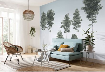 Fotobehang - Pines 400x280cm - Vliesbehang Multikleur