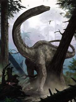 Fotobehang - Rebbachisaurus 184x248cm - Vliesbehang Multikleur