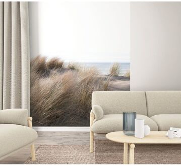 Fotobehang Smart Art Dunes - Beige - Gebroken Wit - Blauw - Bruin - 2,70 M X 212 Cm