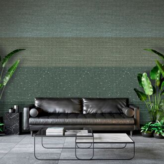 Fotobehang Smart Art Gallery 47348 - Groen - Vergrijsd Groen - Olijf - 3,40m X 212cm