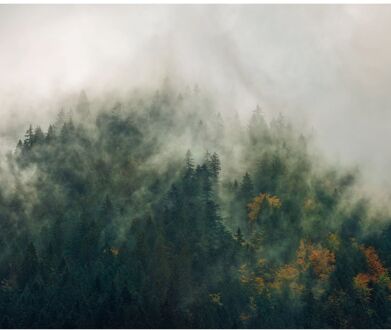 Fotobehang Tales of the Carpathians 300x250 cm Multikleur