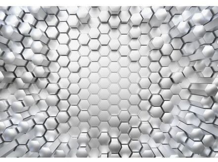 Fotobehang - Titanium 368x254cm - Papierbehang Multikleur