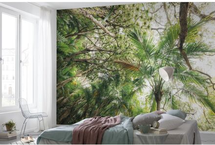 Fotobehang - Touch the Jungle 450x280cm - Vliesbehang Multikleur