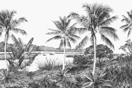 fotobehang tropisch landschap met palmbomen zwart en wit Blauw