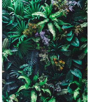fotobehang tropische planten groen Blauw
