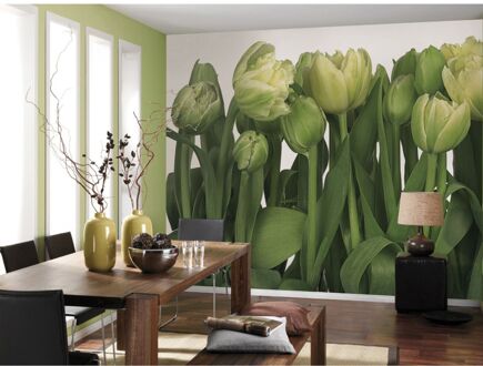 Fotobehang - Tulips 368x254cm - Papierbehang Multikleur