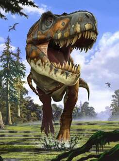 Fotobehang - Tyrannosaurus Rex 184x248cm - Vliesbehang Multikleur