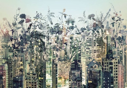 Fotobehang - Urban Jungle 368x254cm - Papierbehang Multikleur