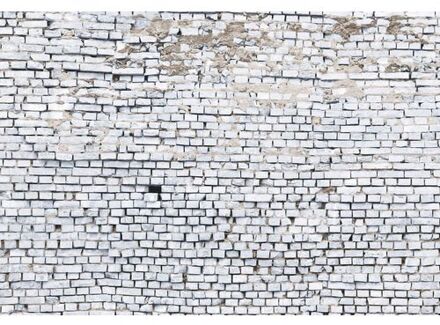 Fotobehang - White Brick 368x254cm - Papierbehang Multikleur