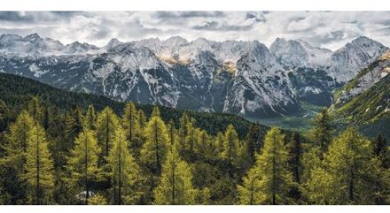 Fotobehang - Wild Dolomites 200x100cm - Vliesbehang Multikleur