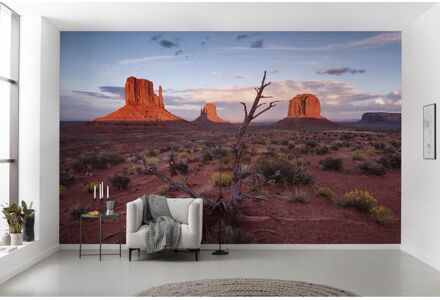 Fotobehang - Wild West Heroes 450x280cm - Vliesbehang Multikleur