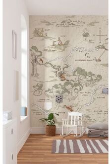 Fotobehang - Winnie Pooh Map 200x240cm - Vliesbehang Multikleur