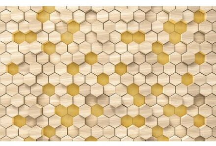 Fotobehang - Woodcomb Birch 400x250cm - Vliesbehang Multikleur