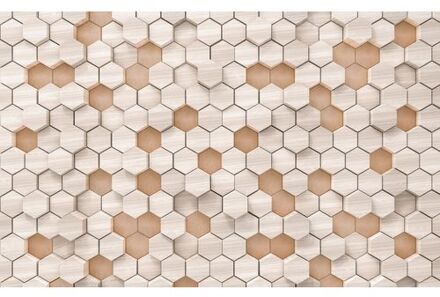 Fotobehang - Woodcomb Nude 400x250cm - Vliesbehang Multikleur