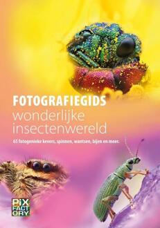 Fotografiegids Wonderlijke Insectenwereld - Fotografiegidsen - Macro