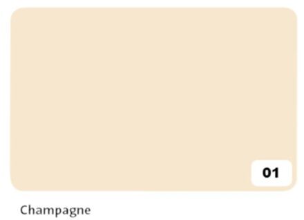 Fotokarton folia 2-zijdig 50x70cm 300gr nr01 Champagne