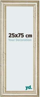 Fotolijst 25x75 cm - Metaalglans - MDF - Lazio