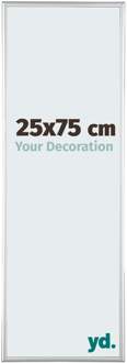 Fotolijst 25x75 cm - Zilver Glanzend - Aluminium - Austin