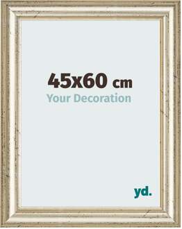 Fotolijst 45x60 cm - Metaalglans - MDF - Lazio