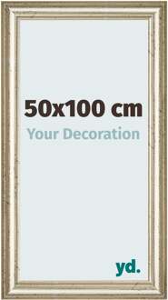 Fotolijst 50x100 cm - Metaalglans - MDF - Lazio