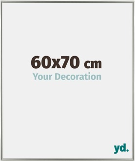 Fotolijst 60x70 cm - Champagne - Kunststof - Evry
