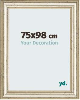 Fotolijst 75x98 cm - Metaalglans - MDF - Lazio