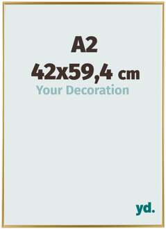 Fotolijst A2 - 42x59,4 cm - Goud - Kunststof - Evry - 42x59.4 cm