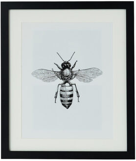 Fotolijst met passe partout - zwart - 20x25 cm