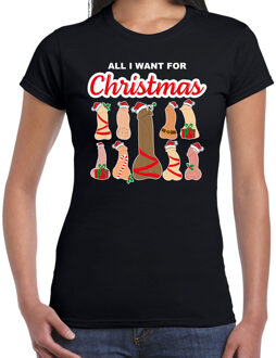 foute kersttrui/t-shirt voor dames - All I want for Christmas - piemels - zwart XL
