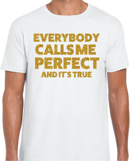 Foute party t-shirt heren - I am perfect - wit - glitter goud L