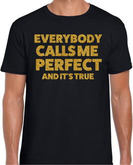 Foute party t-shirt heren - I am perfect - zwart - glitter goud L