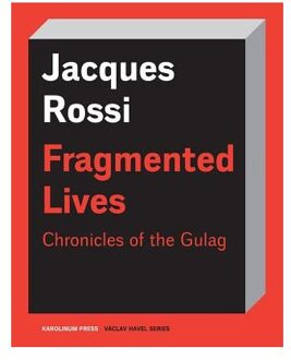 Fragmented Lives