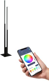 Fraioli-Z LED vloerlamp zwart