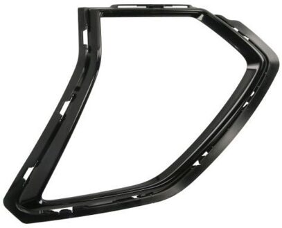 Frame, koplamp 6502077850981P