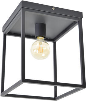 Frame Plafondlamp Zwart