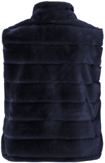 Frank Walder Vest nos725865 Blauw - 48