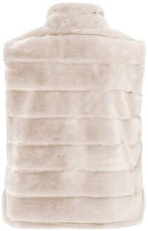 Frank Walder Vest nos725865 Grijs - 42