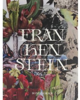 Frankenstein Art Novel