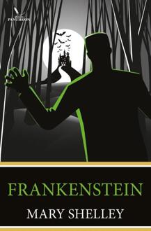 Frankenstein - Boek Mary Wollstonecraft Shelley (9049911803)