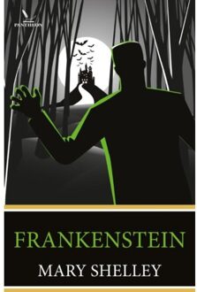 Frankenstein - Boek Mary Wollstonecraft Shelley (9049911803)