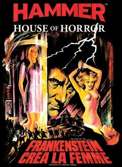 Frankenstein Crea La Femme Men's T-Shirt - Black - 4XL Zwart