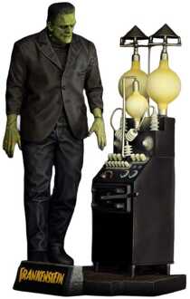 Frankenstein Plastic Model Kit 1/8 The Monster of Frankenstein 27 cm