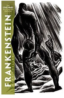 Frankenstein - Shelley, Mary