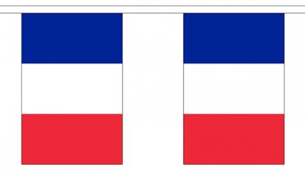 Frankrijk landen thema vlaggetjes - 2x - 300 cm - Slingers versiering - Polyester
