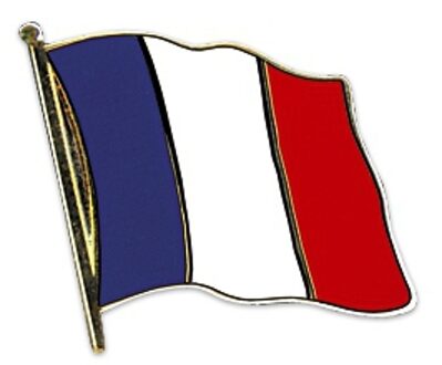 Frankrijk vlaggetjes pins Multi