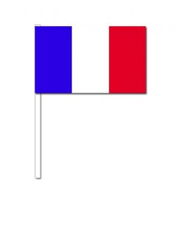 Frankrijk zwaai vlaggetjes 12 x 24 cm