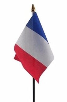Franse landenvlag op stokje